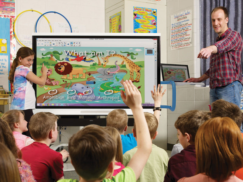 Interactive Display Carts
