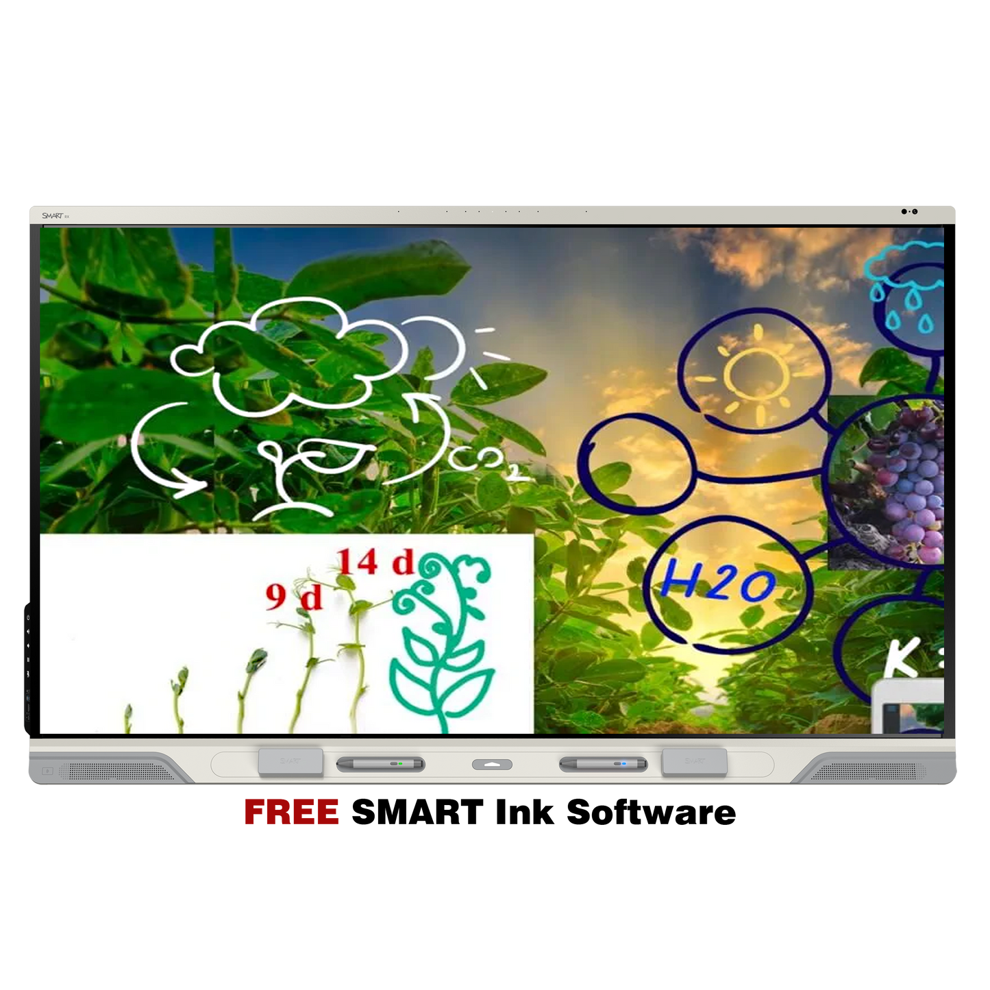 75" SMART Board RX Series Interactive Display with EDLA - SMA-RX275