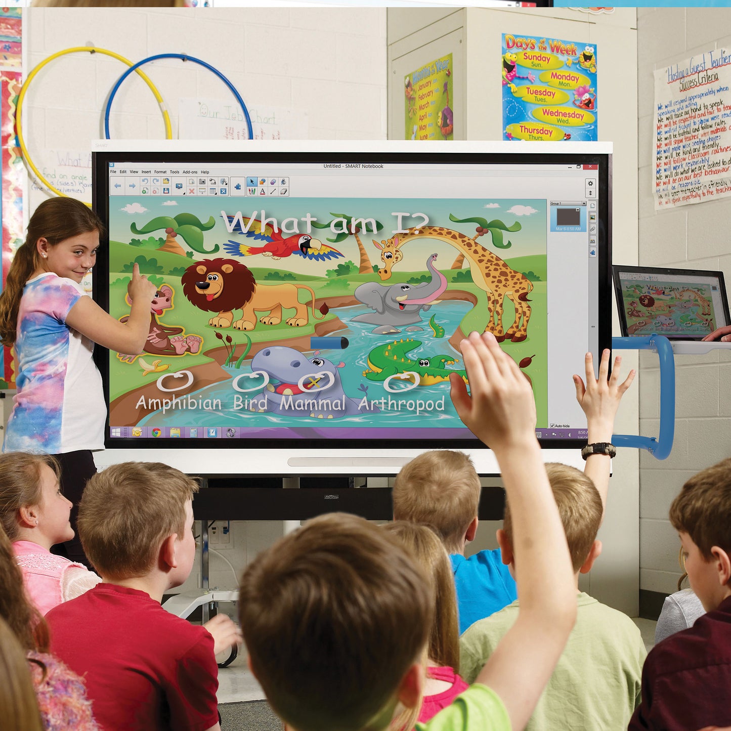 Copernicus iRover2 Premium Model for Interactive Flat Panels