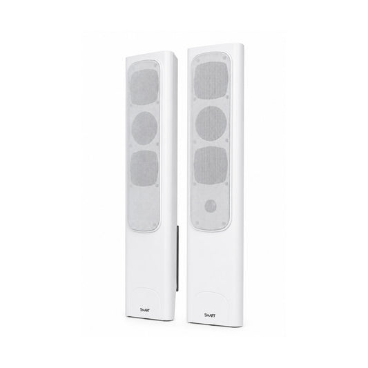 Audio System for SMART Interactive Displays