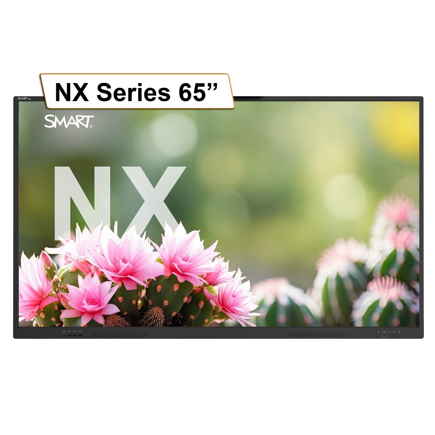 65" SMART Board NX Series Display with Screen Sharing - NX165