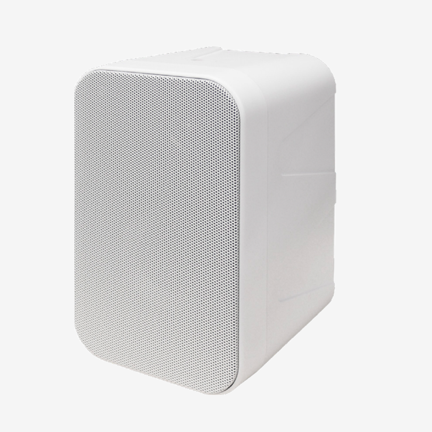 Audio Enhancement WS-09 Wall Speaker