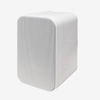 Audio Enhancement WS-09 Wall Speaker