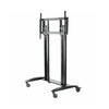 SR598 Flat Panel Cart